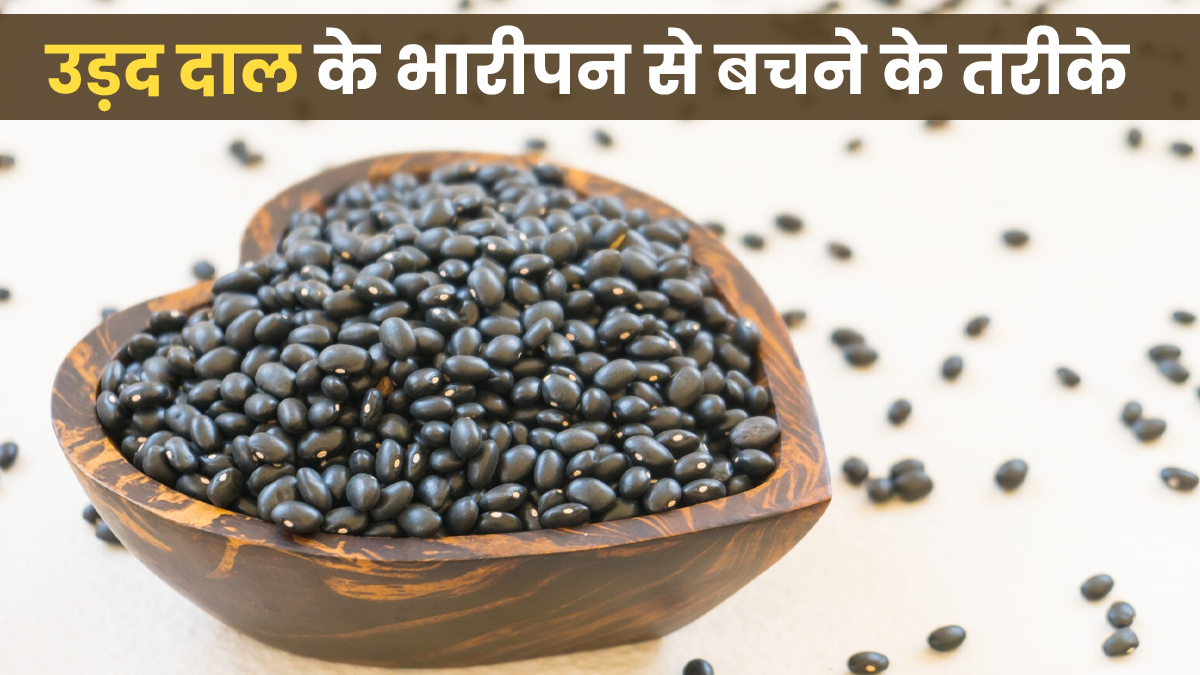 उड़द दाल खाते ही हो जाती है गैस या भारीपन? जानें आयुर्वेदिक तरीके जिससे होगा आसानी से पाचन