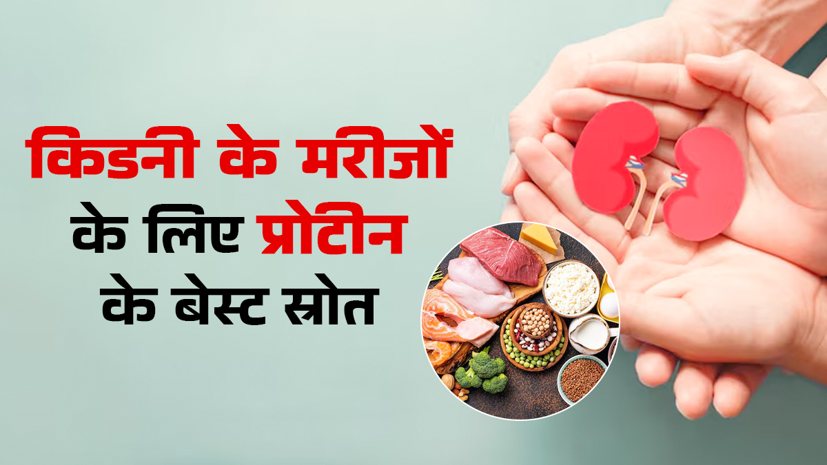 किडनी के मरीजों के लिए प्रोटीन के बेस्ट स्रोत क्या हैं? डॉक्टर से जानें कितना प्रोटीन खाना है सेफ