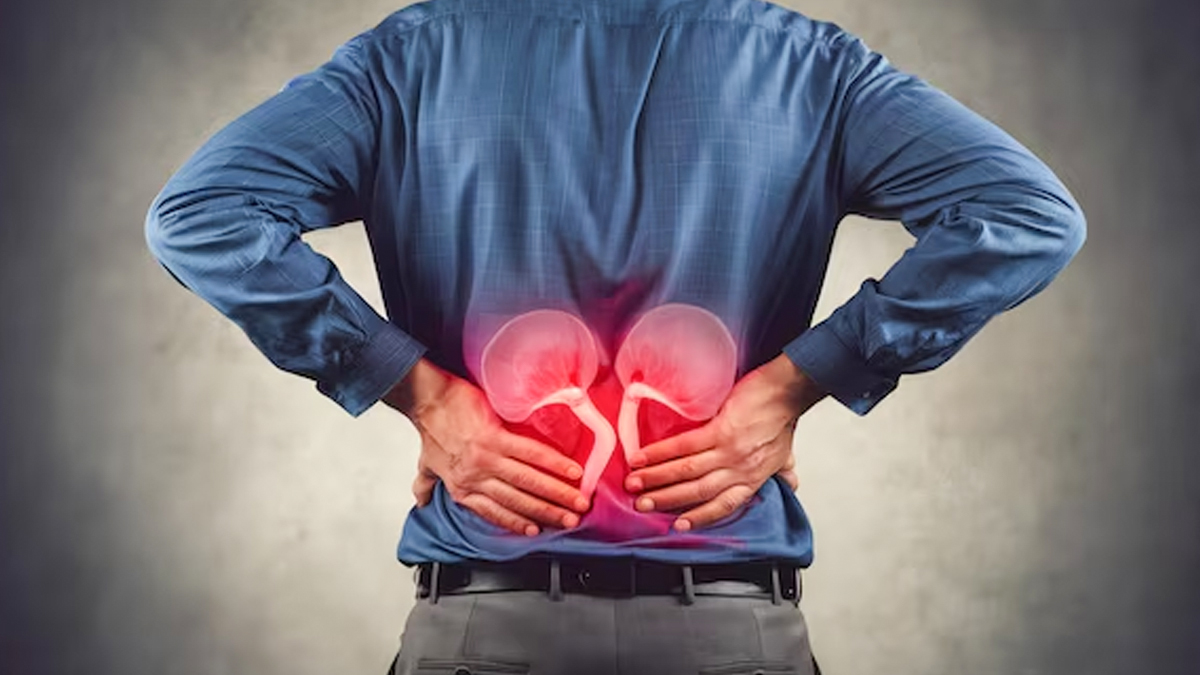 best protein for kidney diseas 1 (7)