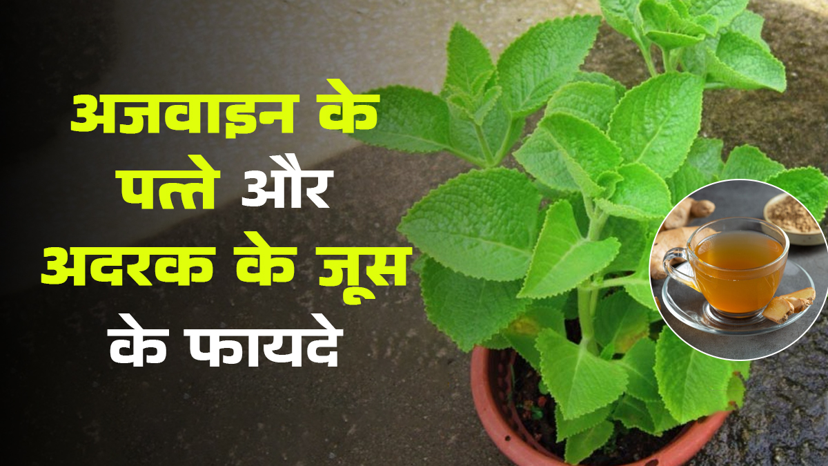 अजवाइन के पत्ते और अदरक के जूस का सेवन करने के फायदे