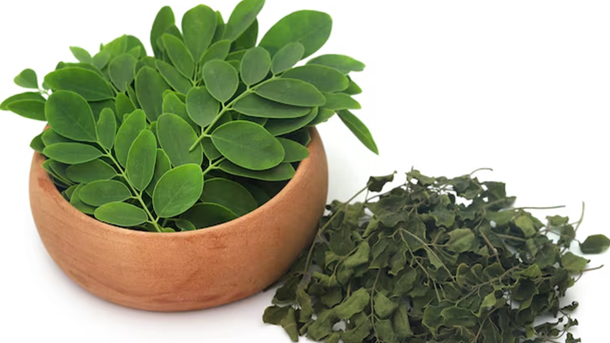 can you eat moringa leaves everyday 01 (9)