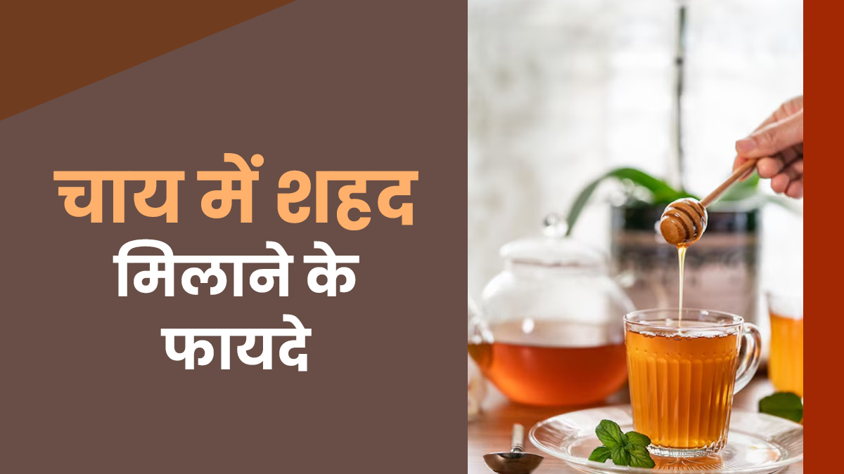 चाय में चीनी की जगह मिलाएं शहद, सेहत को मिलेंगे कई फायदे