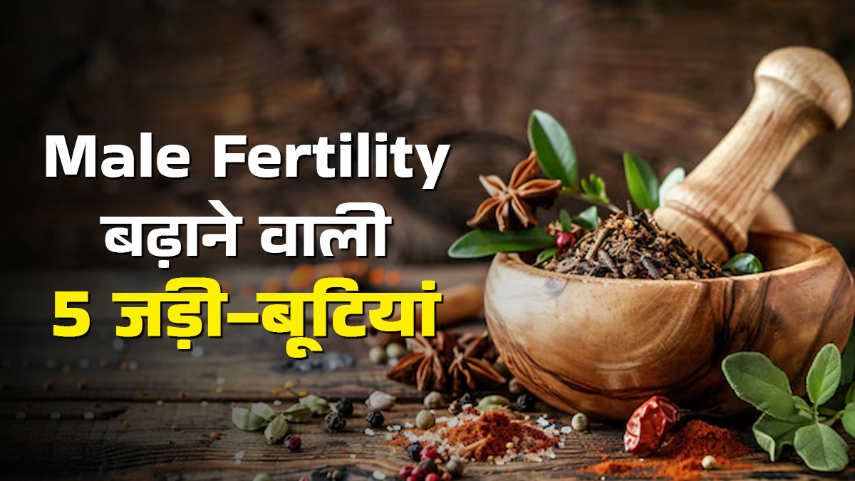 मर्दाना ताकत बढ़ाने के लिए कौन सी जड़ी बूटी खानी चाहिए? आयुर्वेदाचार्य से जानें