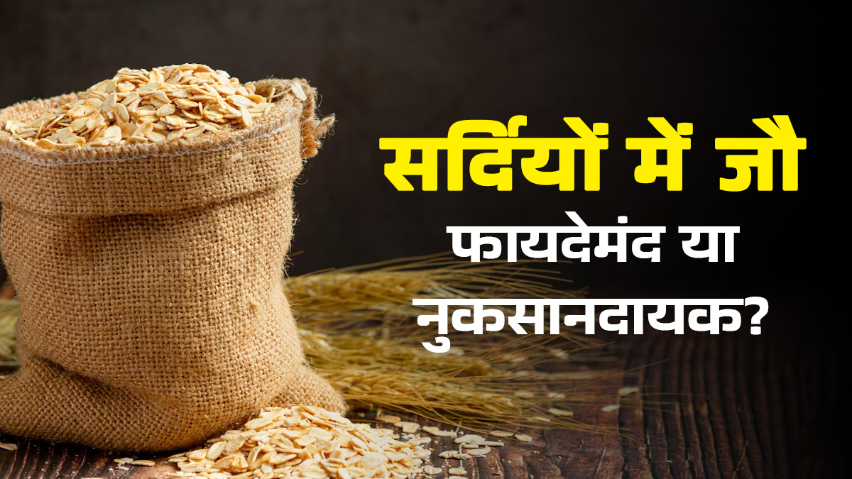 क्या सर्दियों में जौ का सेवन कर सकते हैं? आयुर्वेदाचार्य से जानें