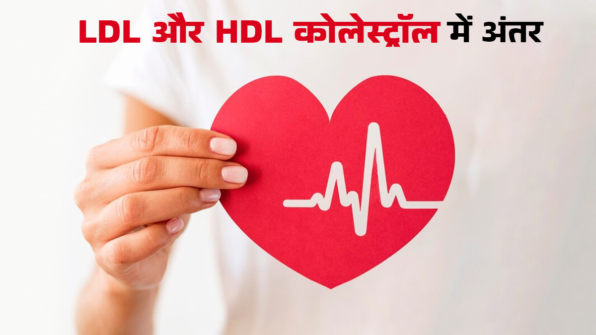 LDL और HDL कोलेस्ट्रॉल में क्या होता हैं अंतर? जानें डॉक्टर से