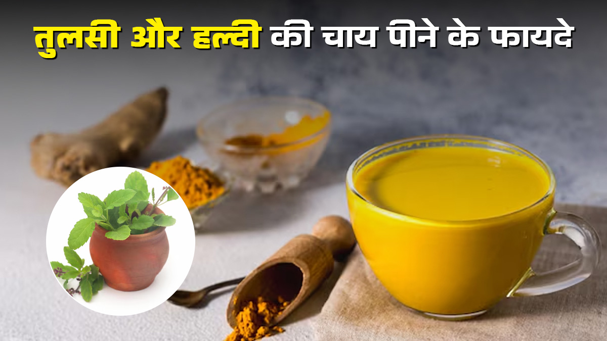तुलसी और हल्दी की चाय पीने के फायदे, आयुर्वेदिक डॉक्टर से जानें