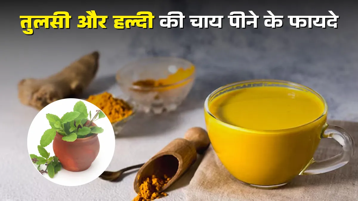 तुलसी और हल्दी की चाय पीने के फायदे, आयुर्वेदिक डॉक्टर से जानें