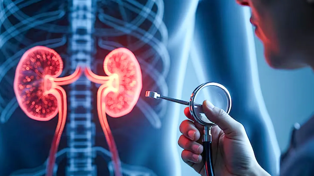 तेलंगाना में बढ़ रही अनजान कारणों से किडनी की बीमारी, स्टडी में सामने आई चिंताजनक तस्वीर