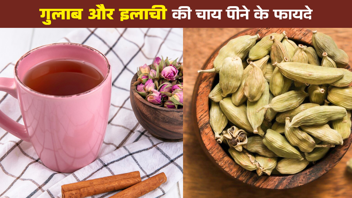 गुलाब और इलायची की चाय पीने के फायदे, आयुर्वेदिक डॉक्टर से जानें