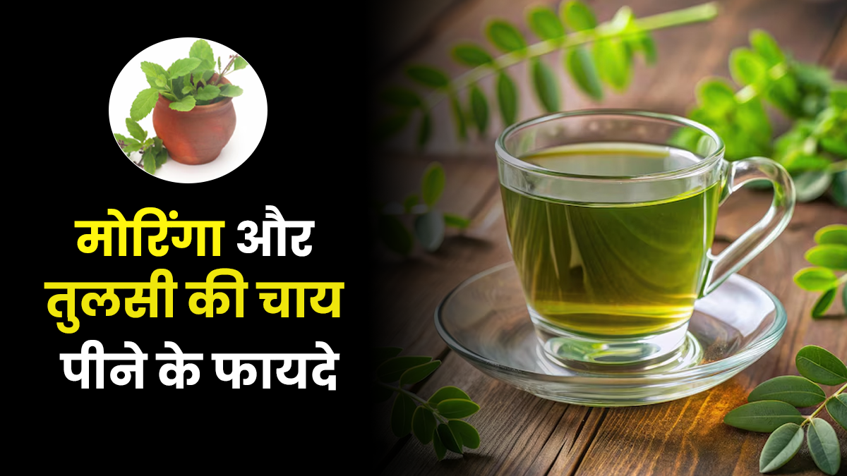 मोरिंगा और तुलसी की चाय पीने के फायदे, एक्सपर्ट से जानें
