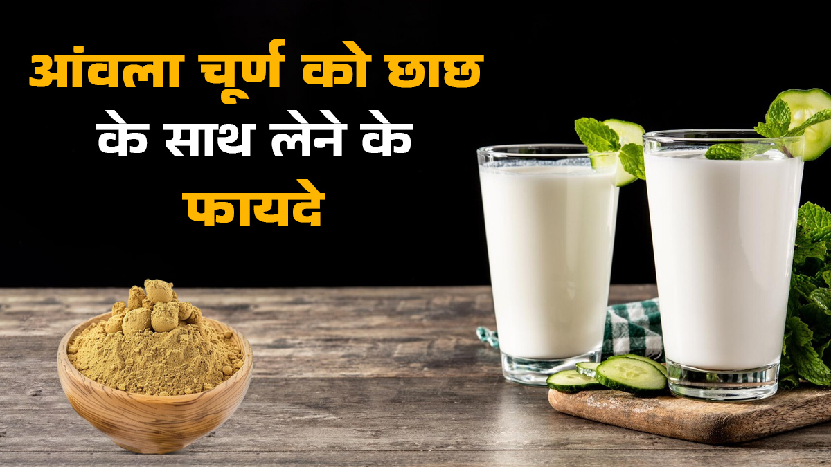 आंवला चूर्ण को छाछ के साथ पीने के फायदे, आयुर्वेदिक डॉक्टर से जानें