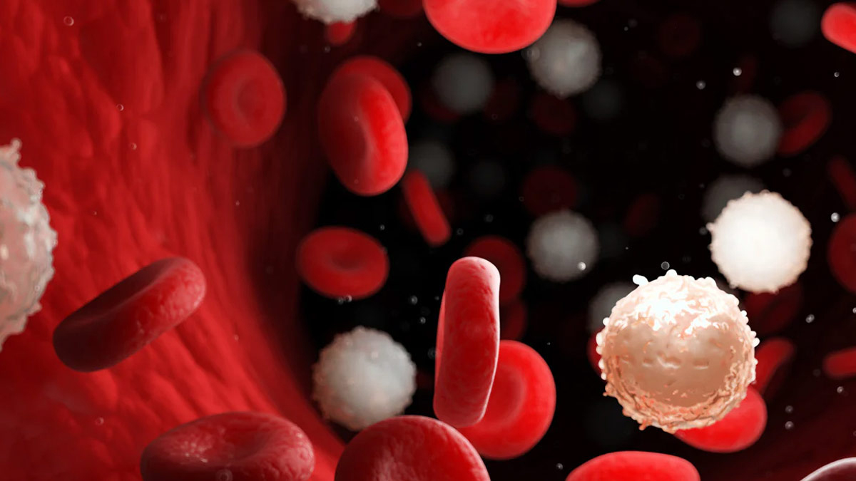 eosinophilia badhne par kya kare