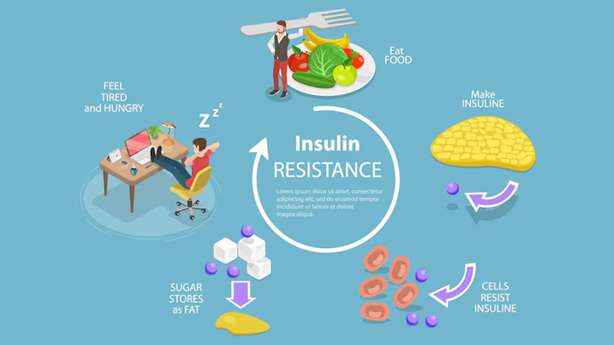 insulin-resistance-in-hindi