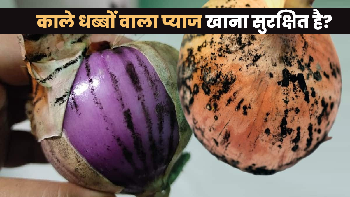 क्या काले धब्बे वाला प्याज खाना सेहत के लिए सुरक्षित है? एक्‍सपर्ट से जानें
