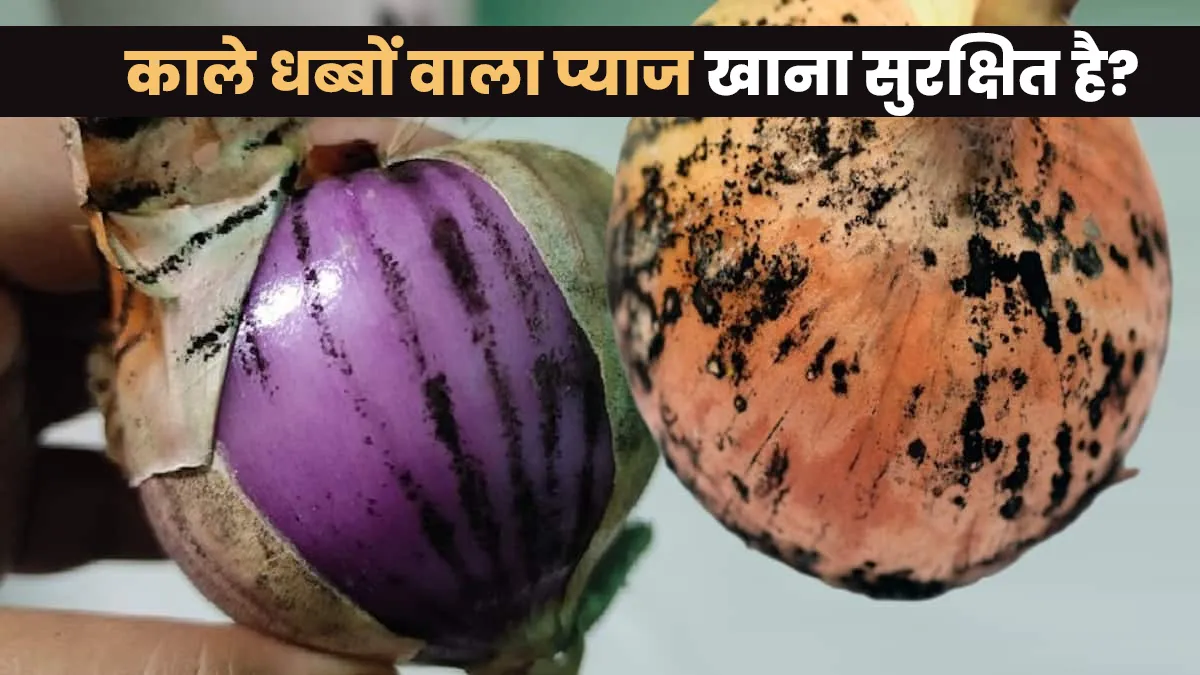 क्या काले धब्बे वाला प्याज खाना सेहत के लिए सुरक्षित है? एक्सपर्ट से जानें
