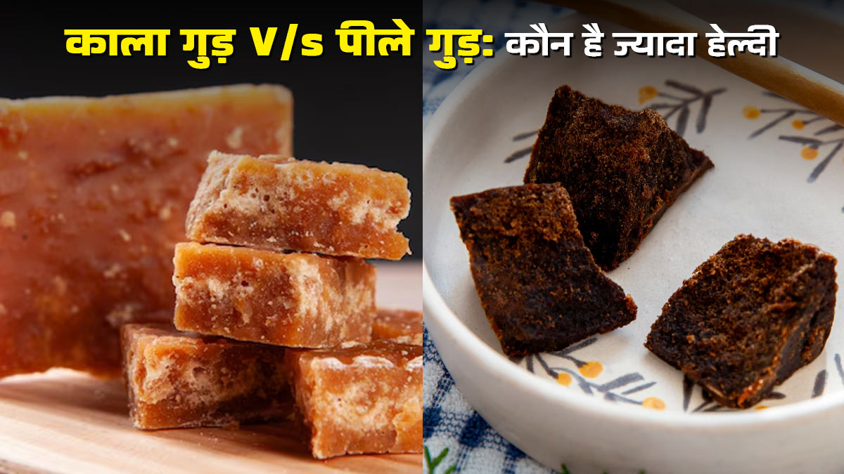 हेल्थ के लिए कौन सा गुड़ है बेस्ट – काला या पीला? एक्सपर्ट का जवाब सुनकर होंगे हैरान
