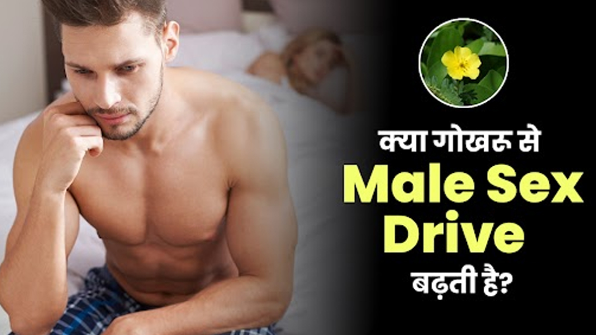 क्या गोखरू पुरुषों में कामेच्छा (Sex Drive) बढ़ा सकता है? जानिए आयुर्वेदाचार्य से