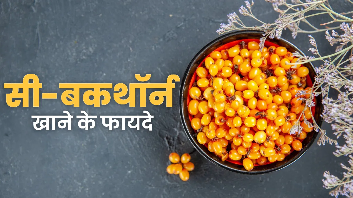 सी बकथॉर्न का सेवन करने से स्वास्थ्य को मिलते हैं कई लाभ, जानें एक्सपर्ट से