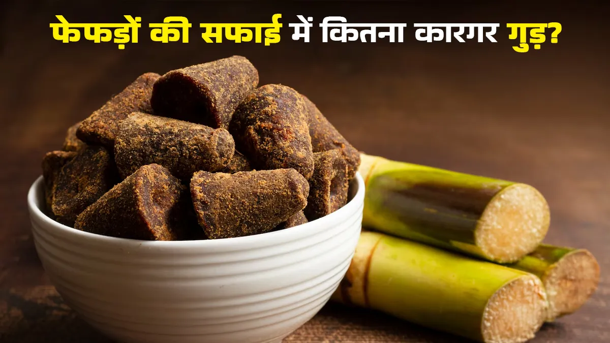 क्या गुड़ फेफड़ों को साफ करता है? डॉक्टर से जानें इस बारे में विस्तार से