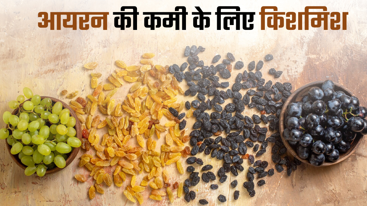 क्या आयरन की कमी में किशमिश खाना फायदेमंद है? जानें एक्सपर्ट की राय