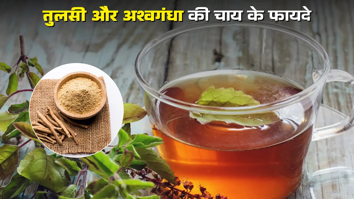 तुलसी और अश्वगंधा की चाय के फायदे, एक्सपर्ट से जानें