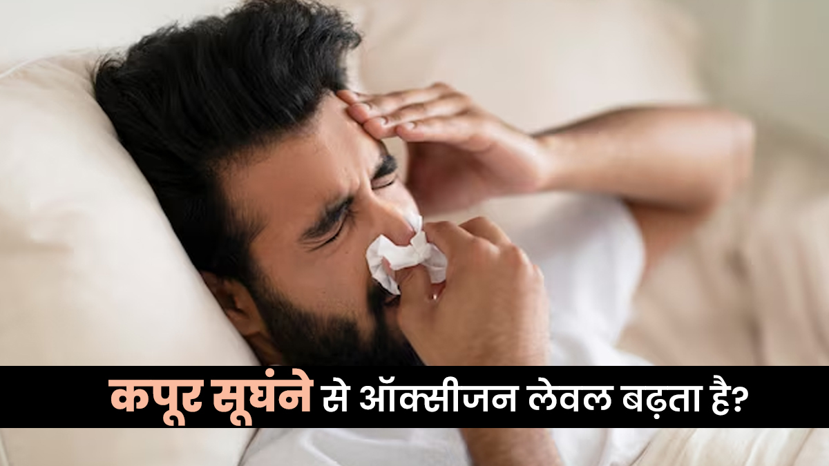 कपूर की पोटली सूंघने से ऑक्सीजन लेवल बढ़ सकता है? बढ़ते प्रदूषण के बीच जानें इस घरेलू नुस्खे की सच्चाई
