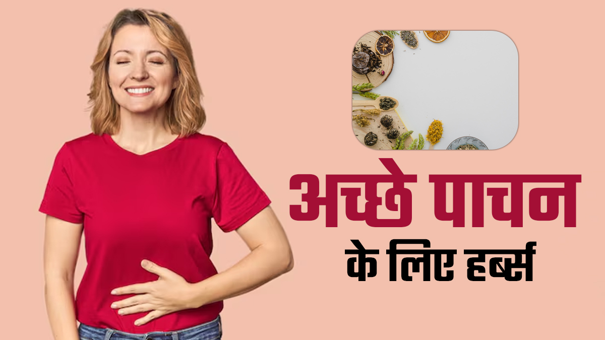 रसोई की ये 6 हर्ब्स पाचन को रखती हैं दुरुस्त, जानें एक्सपर्ट से
