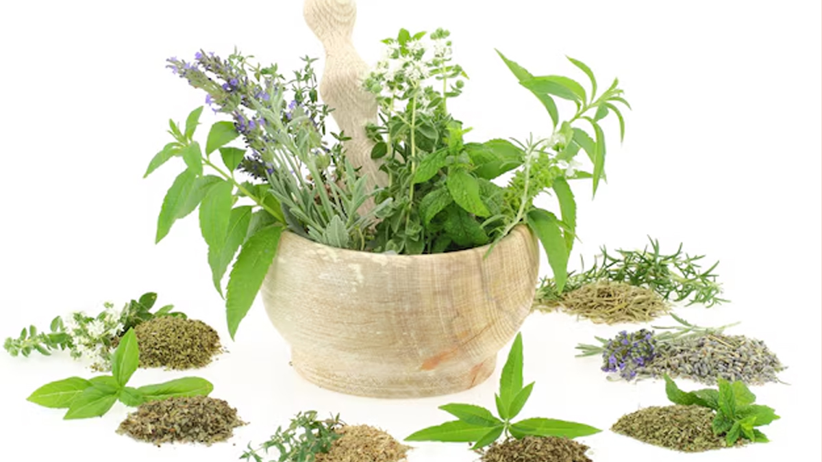 kitchen herbs for digestion in hindi 01 (5)