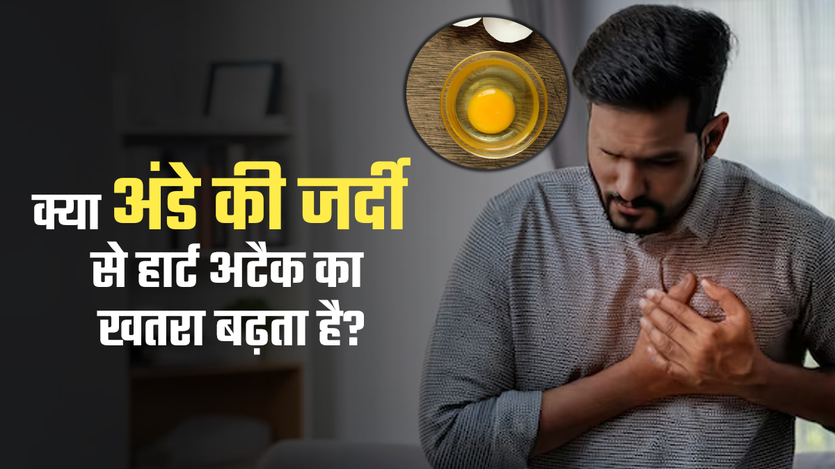 क्या वाकई अंडे की जर्दी खाने से हार्ट अटैक का खतरा बढ़ता है? जानें डॉक्टर से