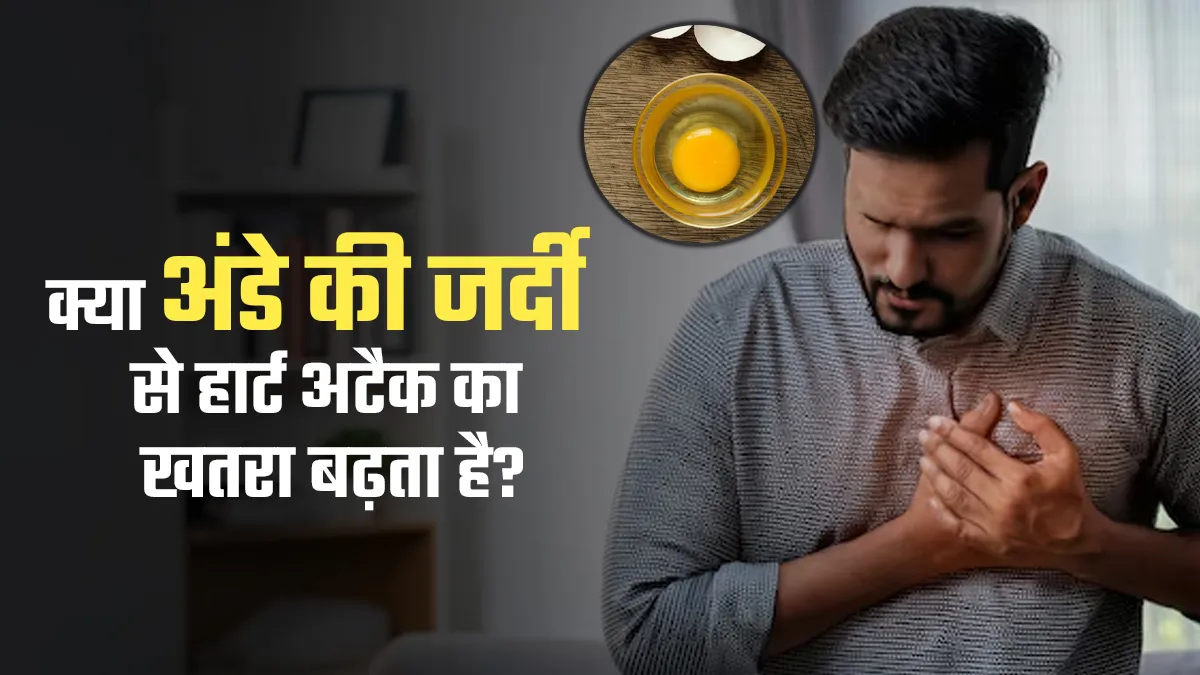 क्या वाकई अंडे की जर्दी खाने से हार्ट अटैक का खतरा बढ़ता है? जानें डॉक्टर से