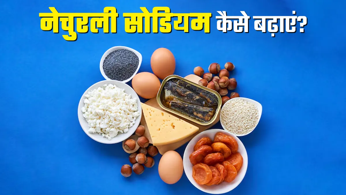 सही नहीं है शरीर में सोडियम की कमी, इसे नेचुरली बढ़ाने के लिए अपनाएं ये 4 टिप्स

