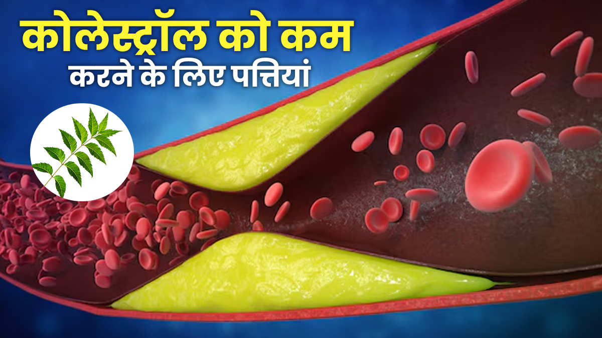 कोलेस्ट्रॉल के स्तर को नेचुरली कम करने में मदद करती हैं ये पत्तियां
