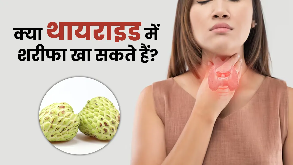 क्या थायराइड की समस्या में शरीफा खा सकते हैं? एक्सपर्ट से जानें