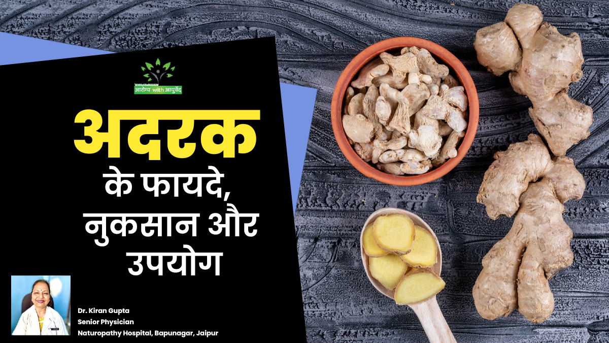 औषधीय गुणों से भरपूर है अदरक, जानें इसके फायदे, नुकसान और सेवन का तरीका