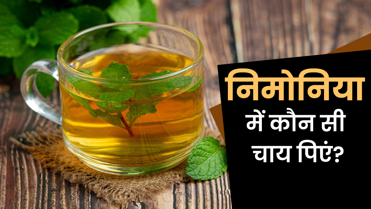 World Pneumonia Day: निमोनिया में कौन सी चाय पिएं? जानें पुदीना, नीलगिरी और मेथी से बनी इस हर्बल टी के बारे में