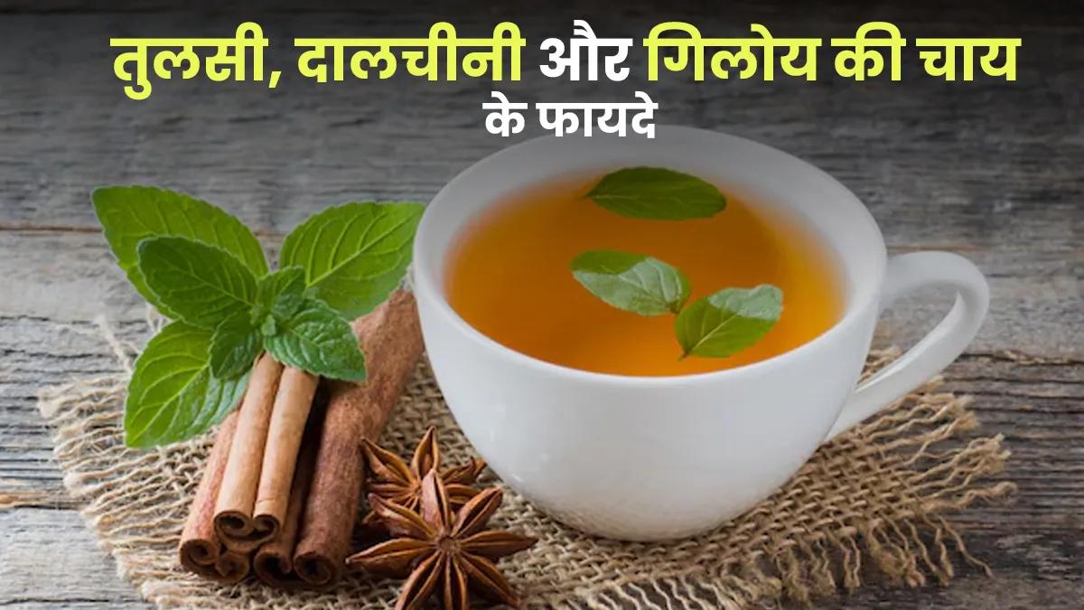 तुलसी, दालचीनी और गिलोय चाय के फायदे, आयुर्वेदिक डॉक्टर से जानें