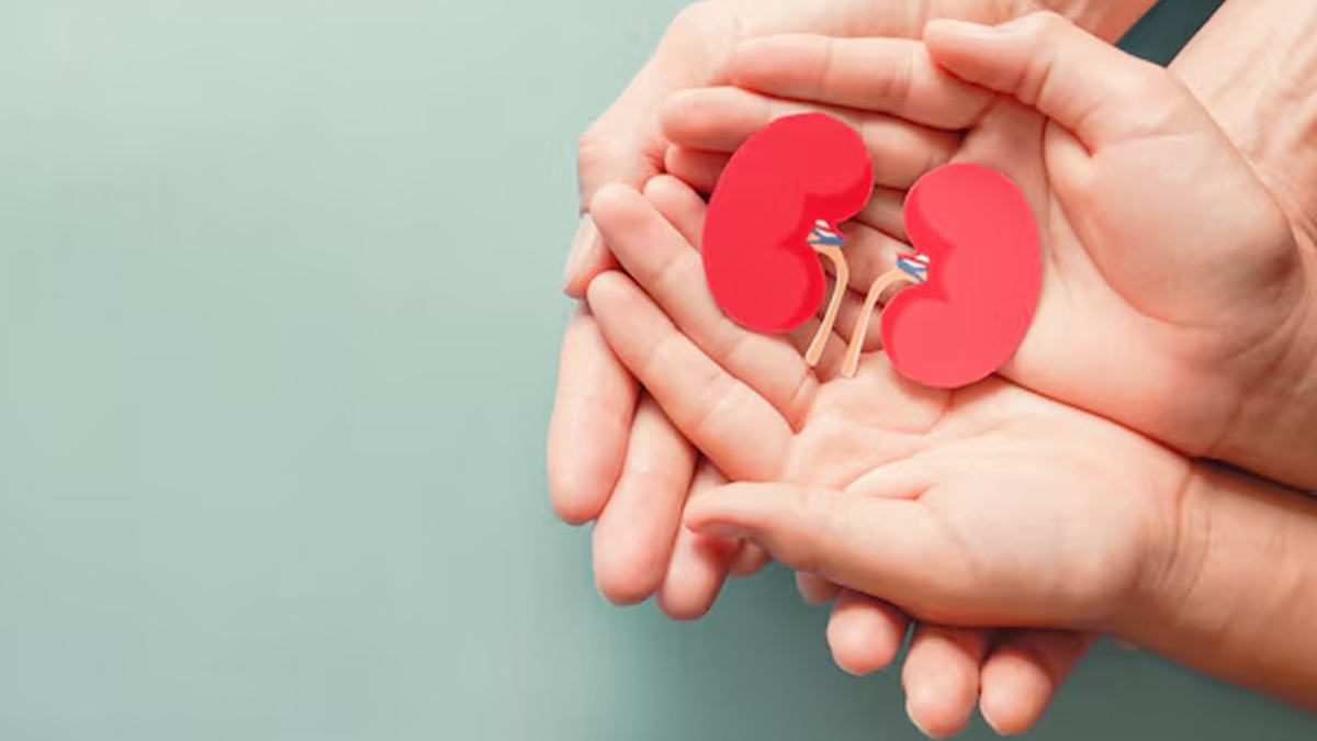 benefits of papaya root 01 (9)