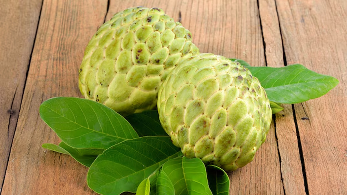 can we eat custard apple in the thyroid in hindi 01 (5)