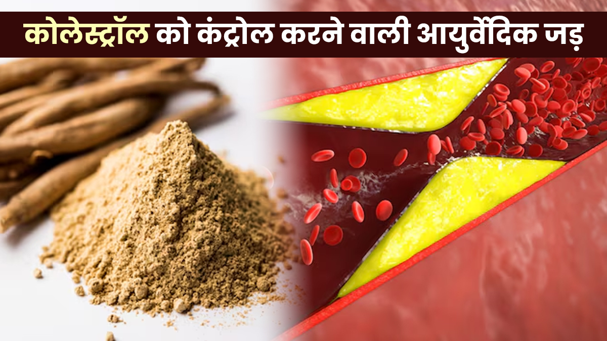 कोलेस्ट्रॉल के स्तर को नेचुरल रूप से कम करने के लिए लें ये आयुर्वेदिक जड़ें