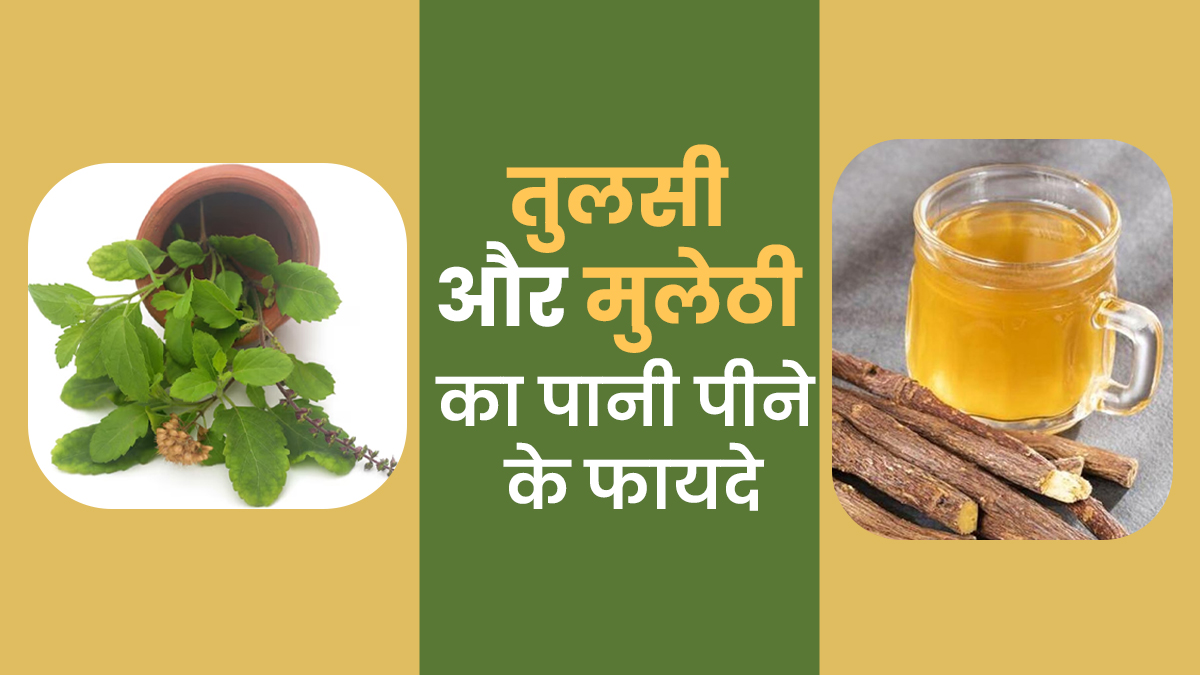 तुलसी और मुलेठी का पानी पीने के फायदे, आयुर्वेदिक डॉक्टर से जानें