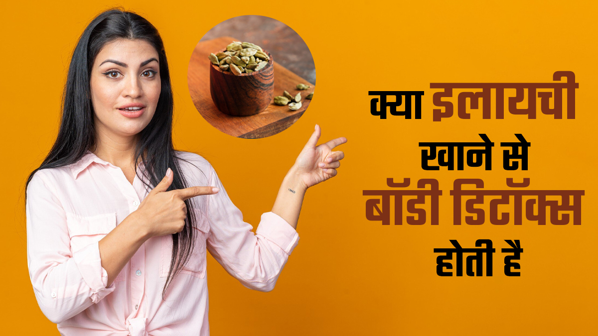 क्या इलायची खाने से बॉडी डिटॉक्स होती है? एक्सपर्ट से जानें कैसे