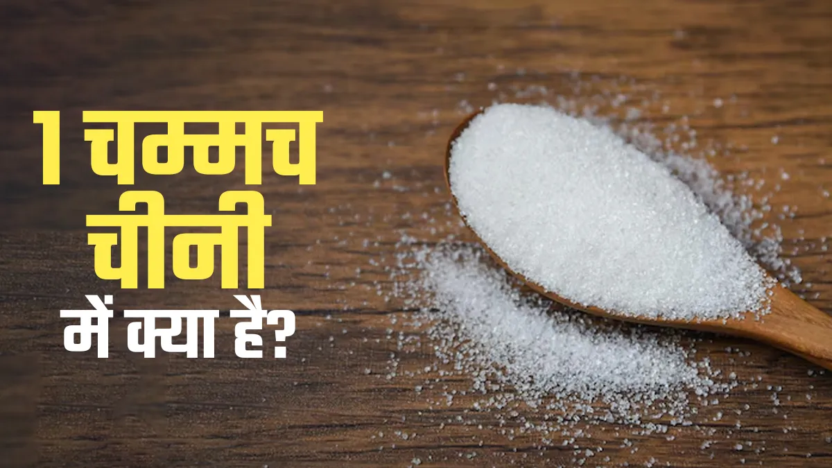 1 चम्मच चीनी में कितनी कैलोरी, कितना शुगर होता है? Diabetes Day पर जानें क्या शरीर को इसकी जरूरत भी है?