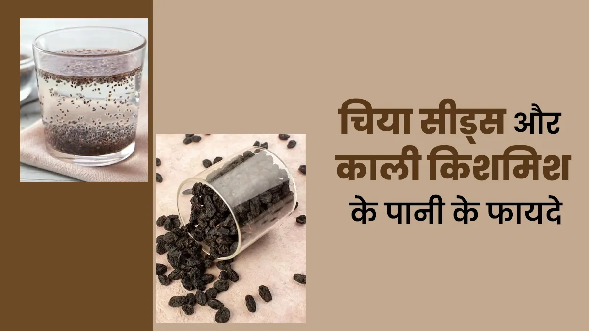 चिया सीड्स और काली किशमिश का पानी पीने के फायदे, एक्सपर्ट से जानें