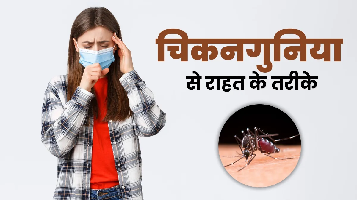 कोलकाता में चिकनगुनिया का कहर, आयुर्वेदिक डॉक्टर से जानें इलाज