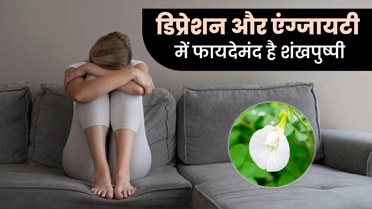 डिप्रेशन और एंग्जायटी में फायदेमंद है शंखपुष्पी, जानें कैसे?