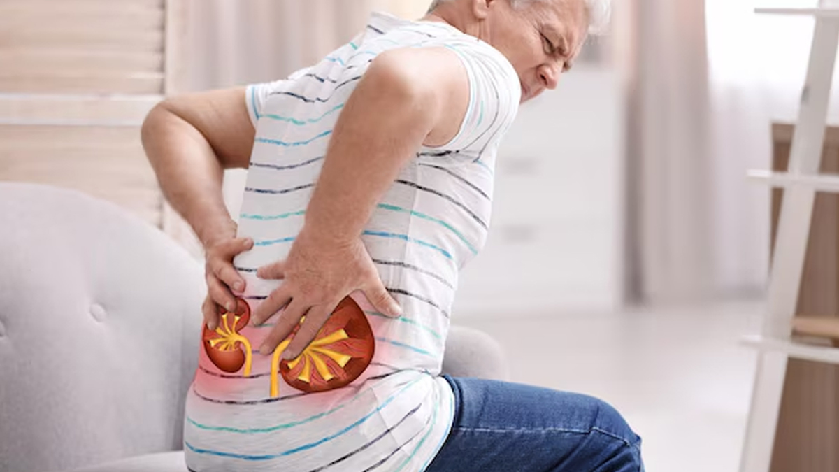 can we drink fennel water in kidney stone in hindi 01 (5)