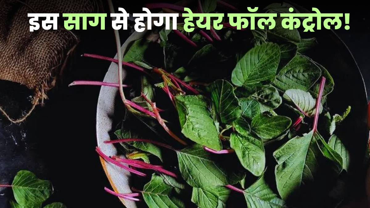 चौलाई: पत्तों की तरह झड़ रहे हैं बाल तो जरूर खाएं ये साग, एक्सपर्ट से जानें क्यों है फायदेमंद