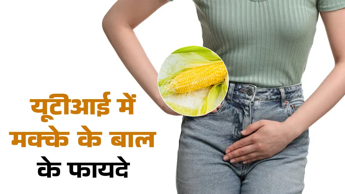 यूटीआई में फायदेमंद हैं मक्के के बाल, जानें इस्तेमाल का तरीका