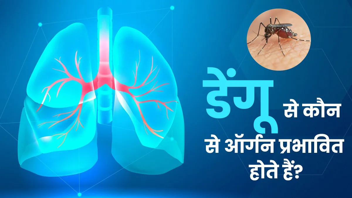 डेंगू से लिवर ही नहीं, अन्य ऑर्गन भी होते हैं प्रभावित? जानें इनके बारे में