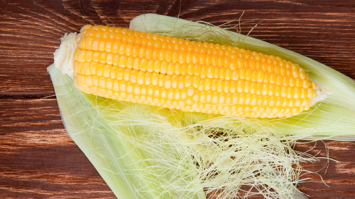 benefits of corn silk in uti and know how to use it in hindi 1